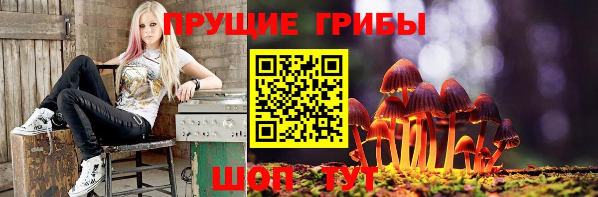 Галлюциногенные грибы MAGIC MUSHROOMS Биробиджан