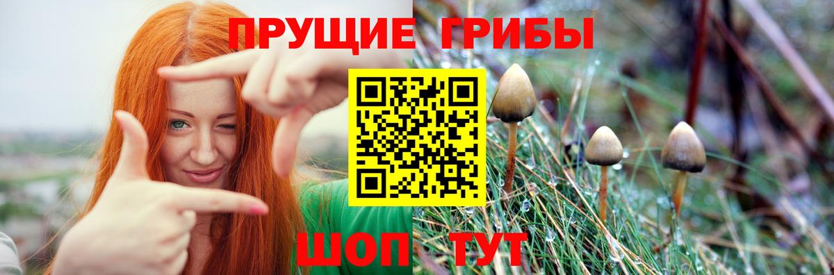 Галлюциногенные грибы MAGIC MUSHROOMS  Вход с VPN  Биробиджан  магазин продажи   Псилоцибиновые грибы Psilocybe 